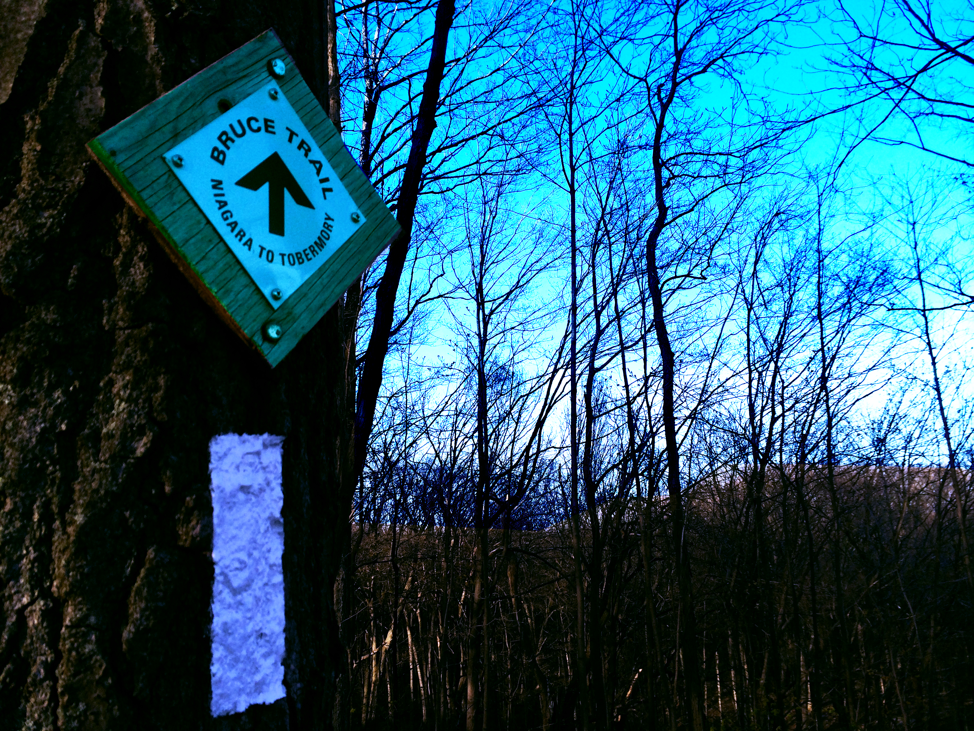 Bruce Trail